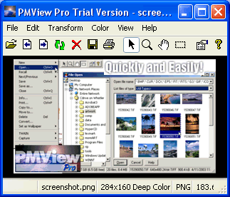 PMView 2000 for Windows (English) Screenshot